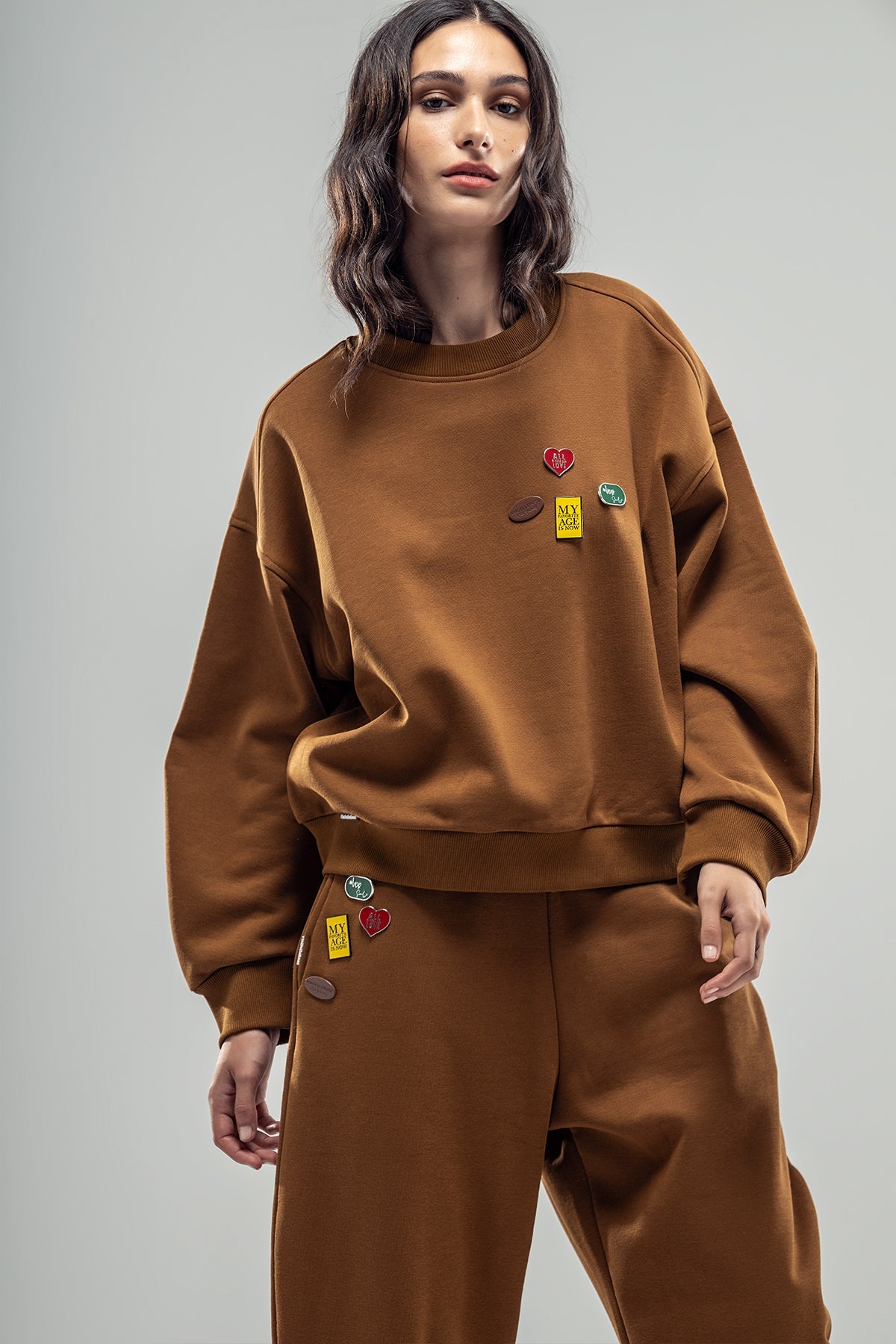 Brown Sweatshirt 20071